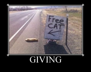 GivingFreeCat