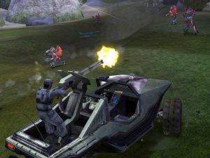 Warthog